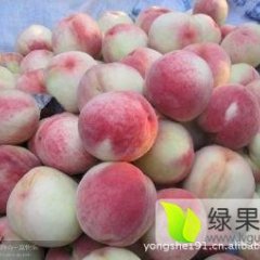 陕西大荔映霜红毛桃基地 阿布白桃价格北京八号毛桃产地