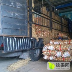 重庆双福专业代购、代销全国各地土豆