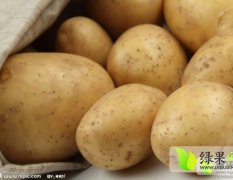 2016胶州土豆值得出手