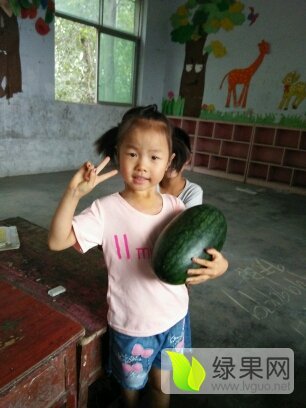 黑美人价格