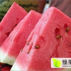 2016会宁西瓜现今西瓜已经大面积上市