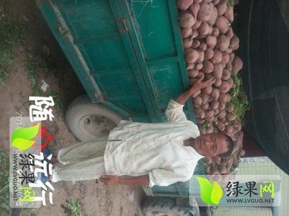 2016年河南开封龙署九号价格