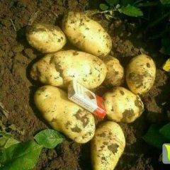 河北围场腰站乡寇文利