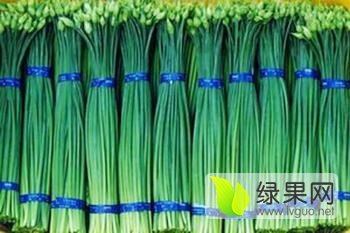 莘县其他蔬菜品质优良