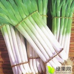 山东诸城铁杆大葱口感爽口