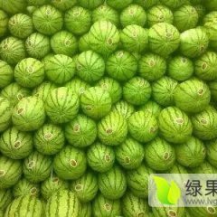 甘肃靖远硒砂瓜西瓜著名品牌