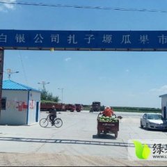 甘肃省会宁县扎子塬砂田西瓜代购办理张学姮