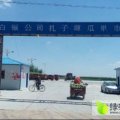 甘肃省会宁县扎子塬砂田西瓜代购办理张学姮
