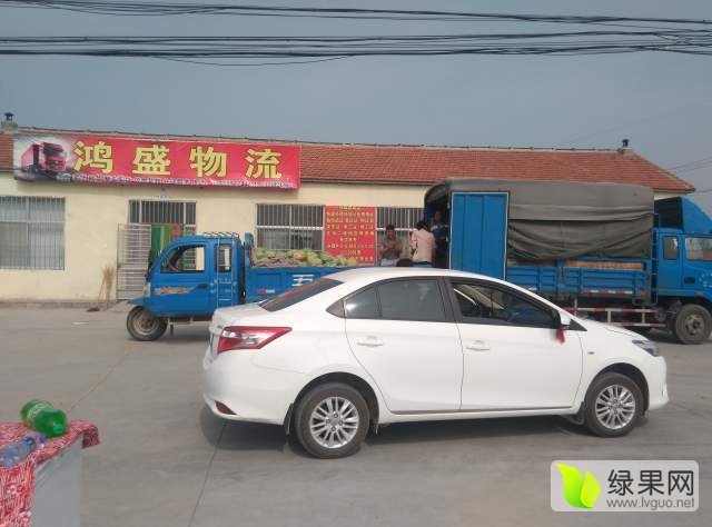 花皮无籽价格