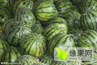 2016年辽宁黑山京欣价格