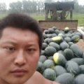 内蒙宁夏黑美人西瓜名优产品
