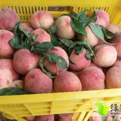 山东安丘红冠蜜桃口感甜