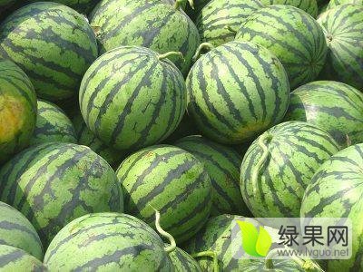 2016年河南通许龙卷风价格