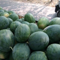 河南省开封市尉氏县刘建强诚信合作