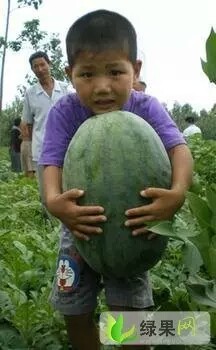 2016年河南扶沟龙卷风价格