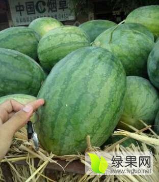 2016年河南扶沟龙卷风价格