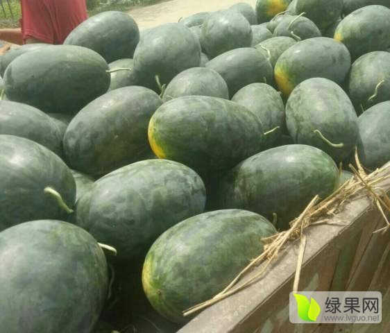 2016年河南太康冠龙价格