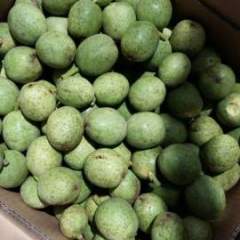 2016平陆核桃走过路过不要错过