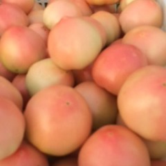 东昌府沙镇玉峰市场西红柿