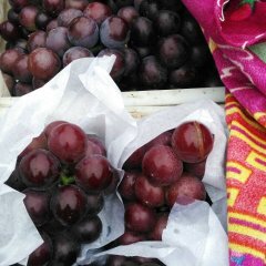 河北永年夏黑葡萄营养丰富