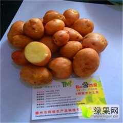 滕州土豆上货量大,中国小土豆诚信合作
