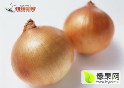 2016年甘肃凉州黄皮洋葱价格