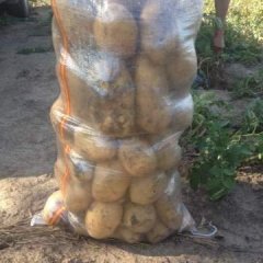 吉林扶余尤金885敢比牡丹江货