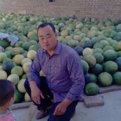 会宁郭城韩向国8月甜籽一号大变小西瓜