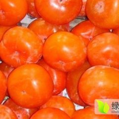 临猗7月黄柿子新鲜上市啦