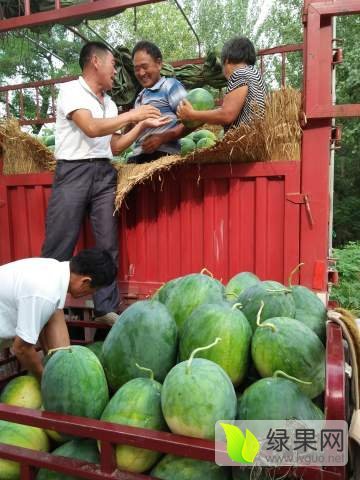 龙卷风价格