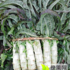 山东郯城大量优质（莴苣）火爆招商，10后到年底