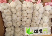 2016年山东金乡金乡大蒜价格