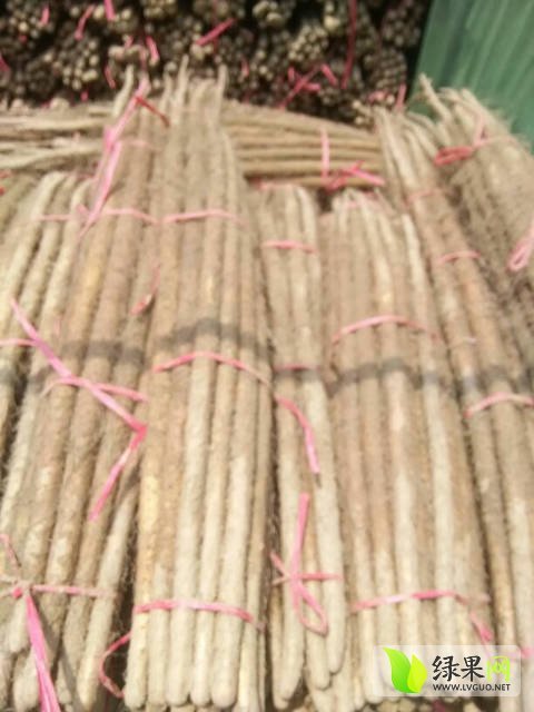 2016年山东牡丹铁棍山药价格