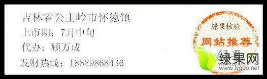 2016年吉林公主岭尤金885土豆价格