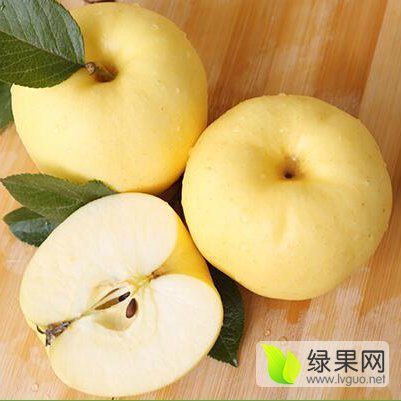 2016年甘肃景泰黄元帅价格