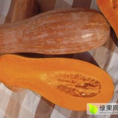 涡阳南瓜质量上乘,丹城刘海明诚信合作