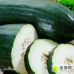河南冬瓜产量高 质量好 价格合理