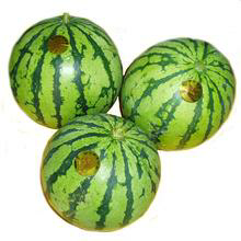 内蒙赤峰西瓜个大皮薄，口感好