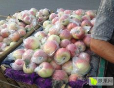 潍坊寒亭美国八号苹果现在大量上市。