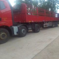 宁夏永宁欧盾西红柿何去何从