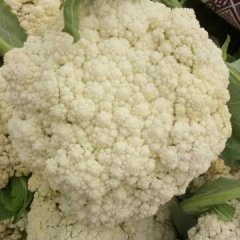 散花菜