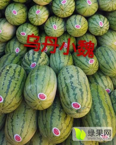 2018年内蒙古赤峰京欣价格