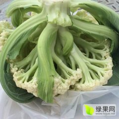 专业代收（代发）有机花菜