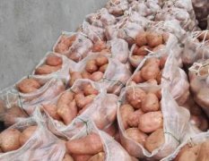 2024年湖北宜城红薯价格行情