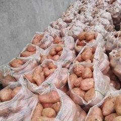 2024年湖北宜城红薯价格行情