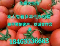 聊城莘县河店瓜果菌菜交易市场