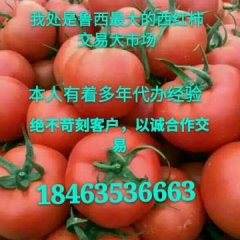 聊城莘县河店瓜果菌菜交易市场