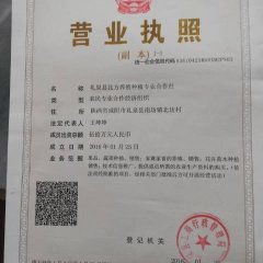 礼泉梨何去何从,南坊王飞诚信合作