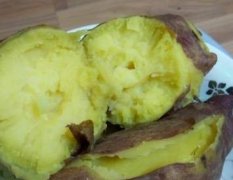 青岛胶州红薯种植户出售济26和龙薯九红薯