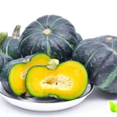 山东寿光日本小南瓜营养丰富